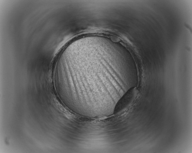 X0000099451216200805231733