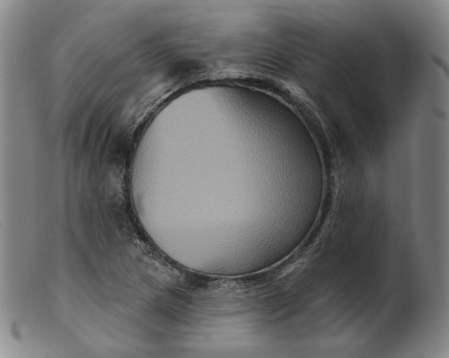 X0000099451217200805231733