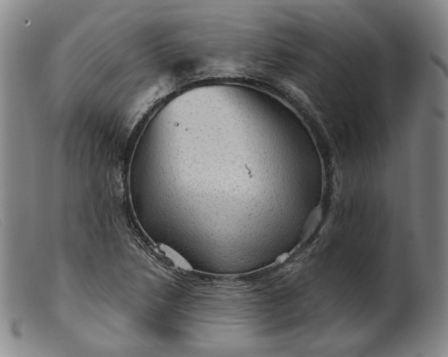 X0000099451218200805231733