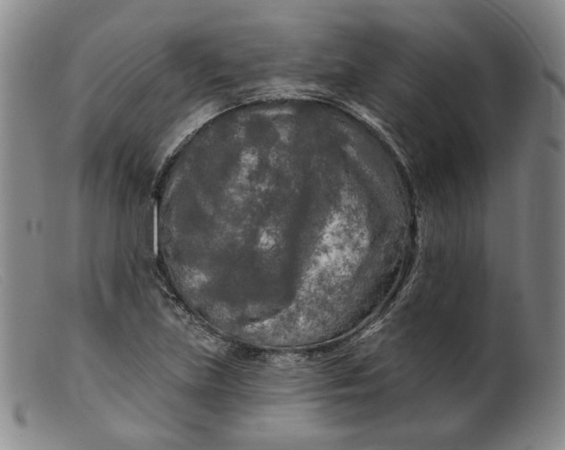 X0000099451219200805231733