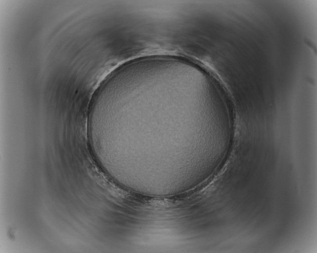 X0000099451220200805231733