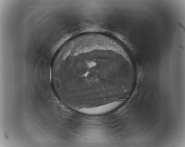 X0000099451221200805231733