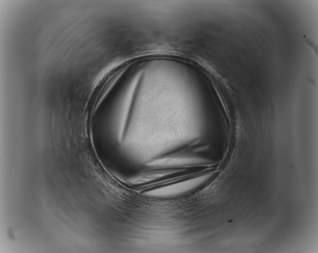 X0000099451222200805231733