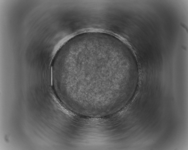 X0000099451223200805231733