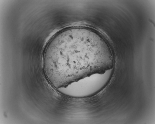 X0000099451224200805231733