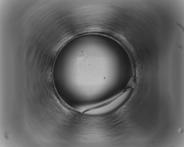 X0000099451225200805231733