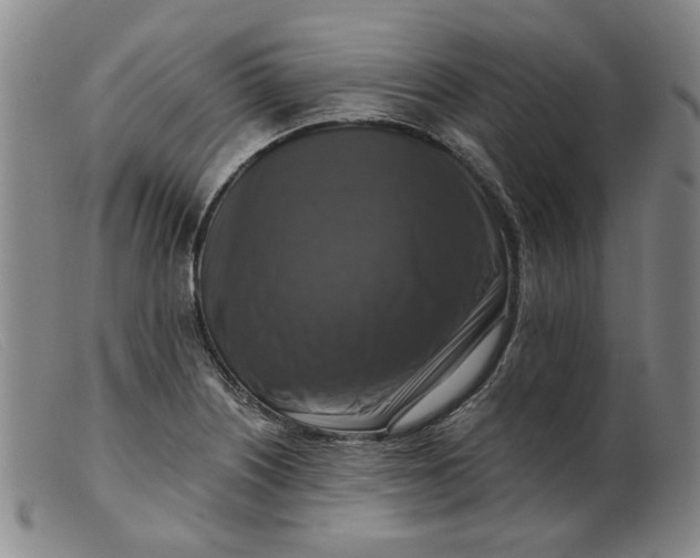 X0000099451226200805231733