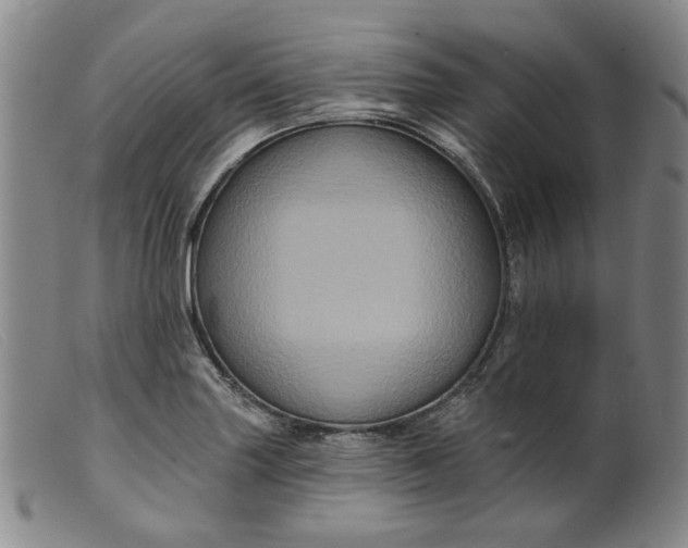 X0000099451227200805231733