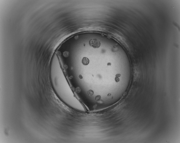 X0000099451228200805231733