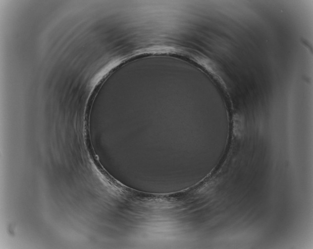 X0000099451229200805231733