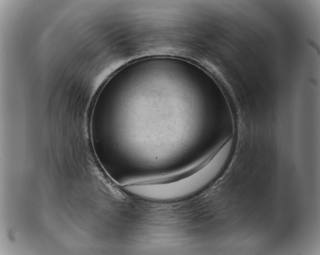 X0000099451230200805231733