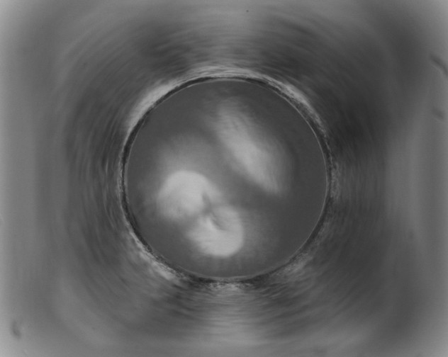 X0000099451231200805231733