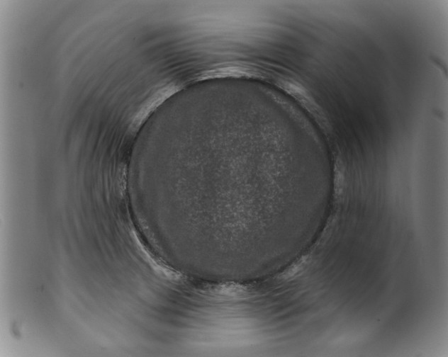 X0000099451233200805231733