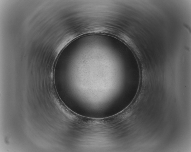 X0000099451234200805231733