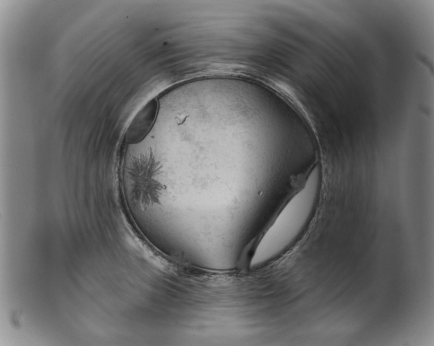 X0000099451235200805231733