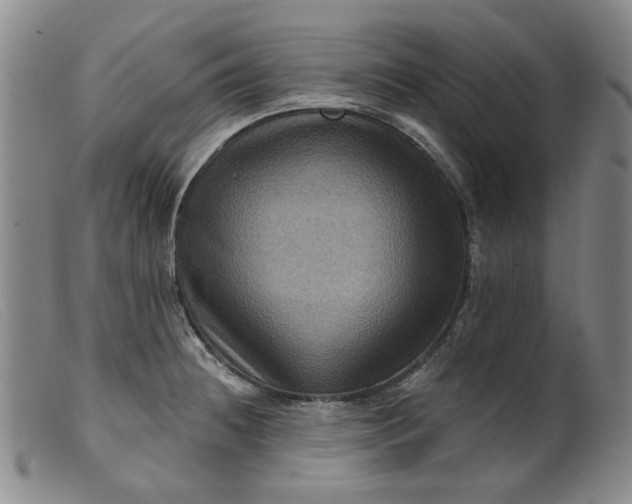 X0000099451236200805231734