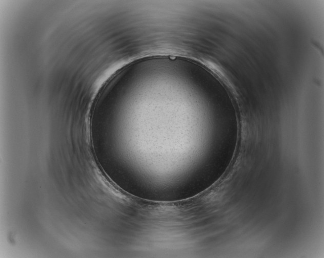 X0000099451238200805231734