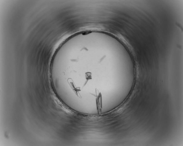 X0000099451240200805231734