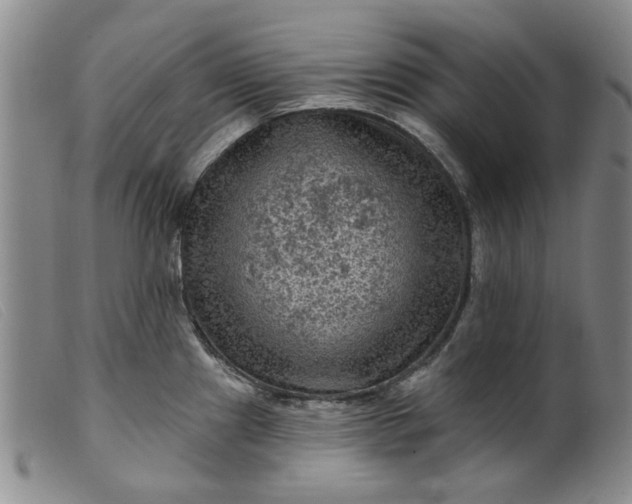 X0000099451241200805231734