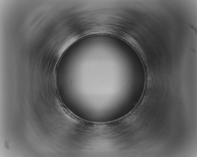 X0000099451242200805231734