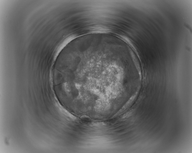 X0000099451243200805231734