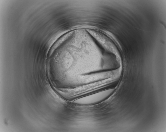 X0000099451244200805231734