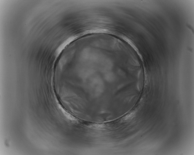 X0000099451245200805231734