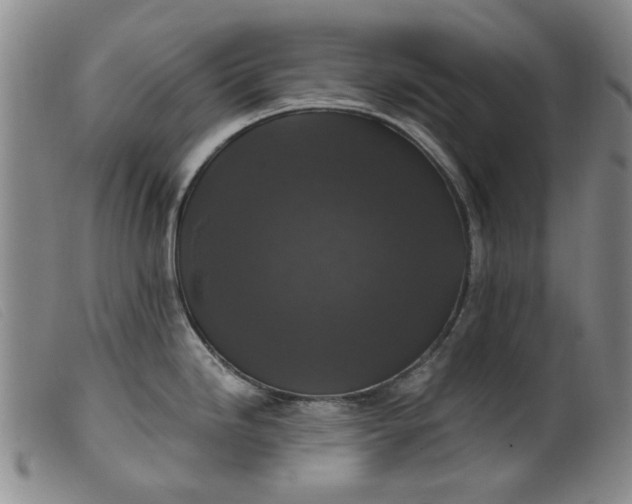 X0000099451246200805231734