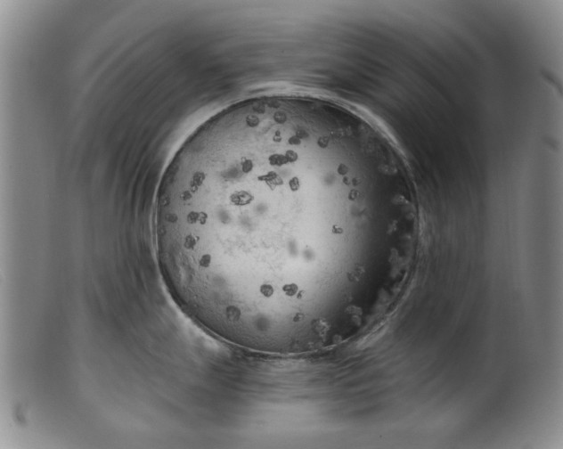 X0000099451247200805231734