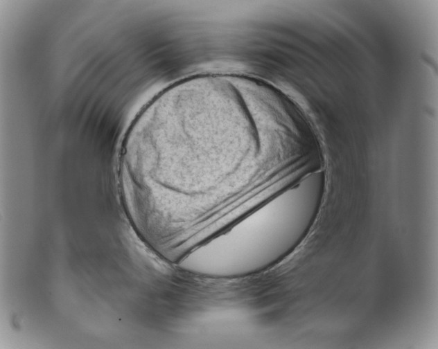 X0000099451248200805231734