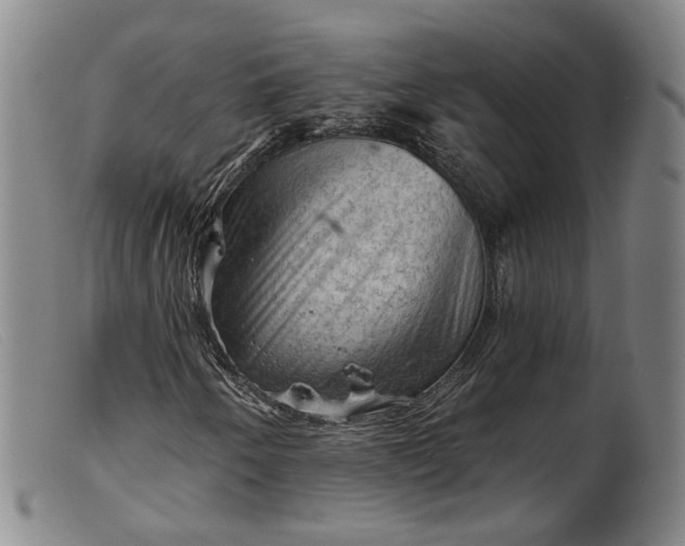 X0000099451250200805231733