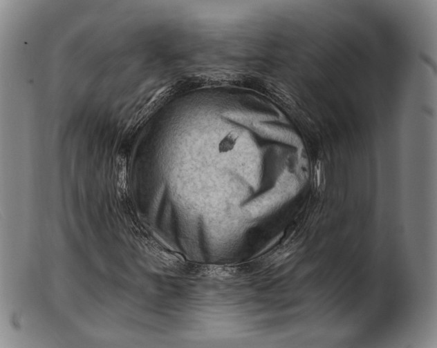 X0000099451251200805231733