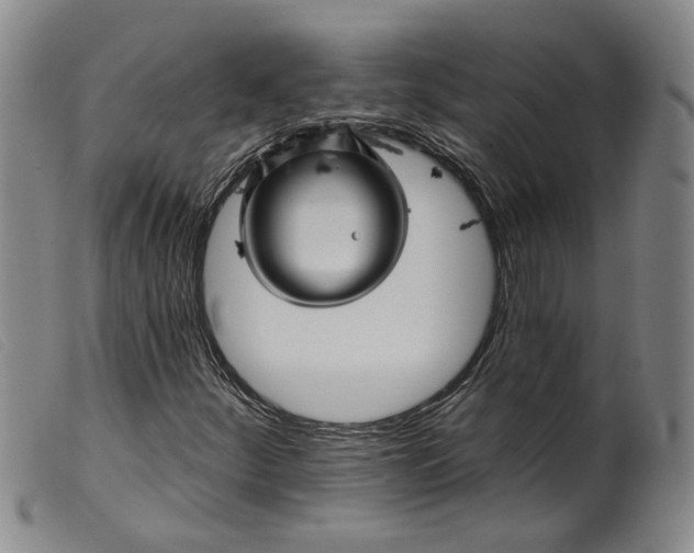 X0000099451252200805231733