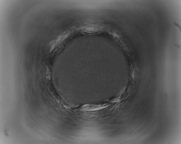 X0000099451253200805231733