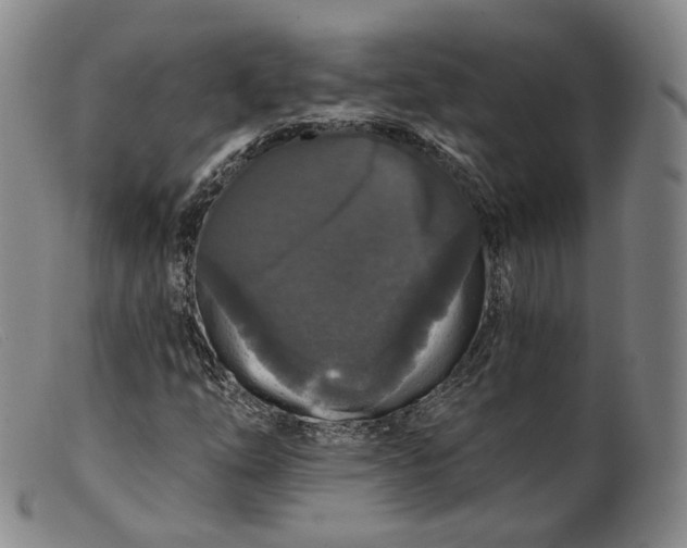 X0000099451254200805231733