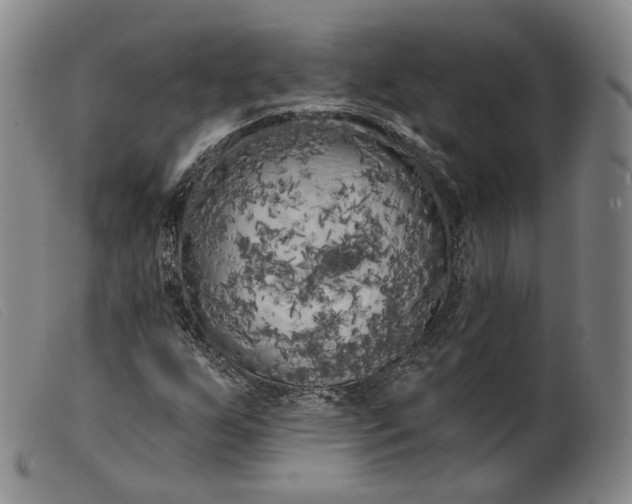 X0000099451255200805231733