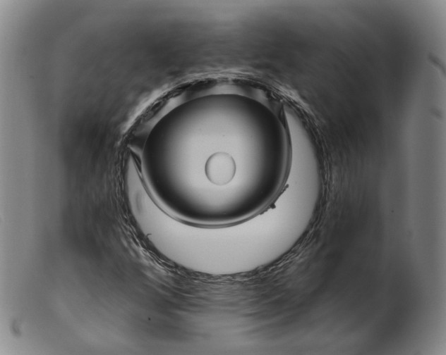 X0000099451256200805231733