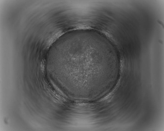 X0000099451257200805231733