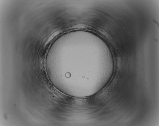 X0000099451258200805231733