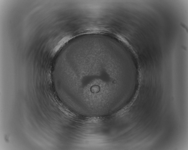 X0000099451259200805231733