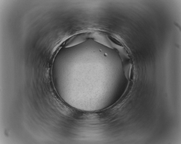 X0000099451260200805231733