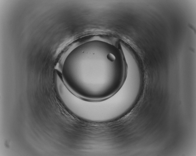 X0000099451261200805231733