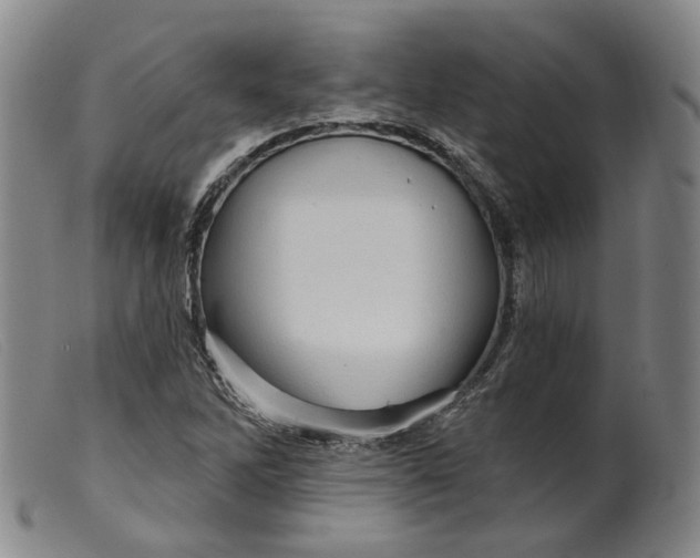 X0000099451262200805231733