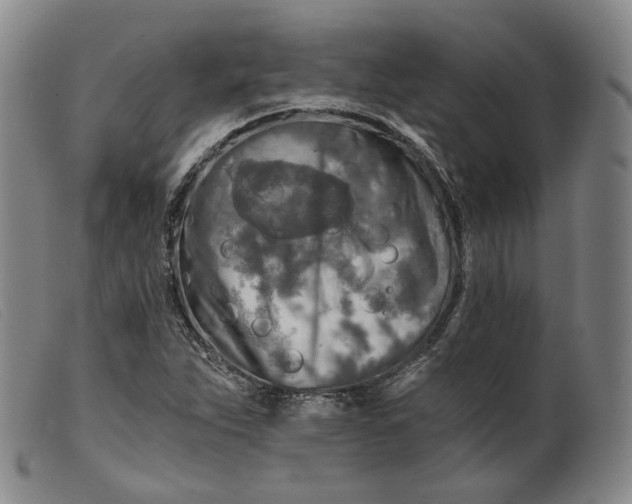 X0000099451263200805231733