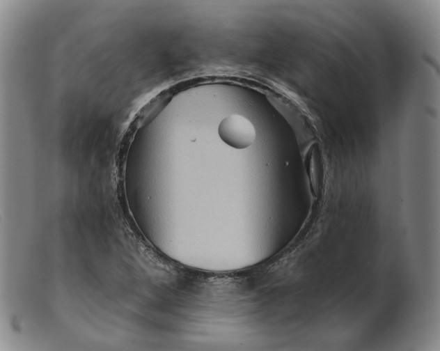 X0000099451264200805231733