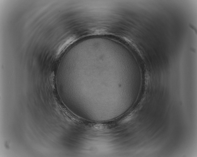 X0000099451265200805231733