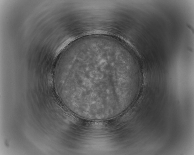 X0000099451266200805231733