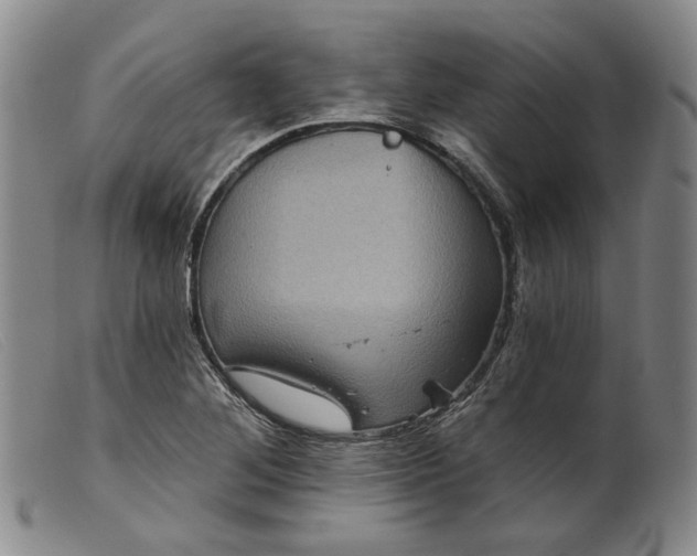 X0000099451268200805231733