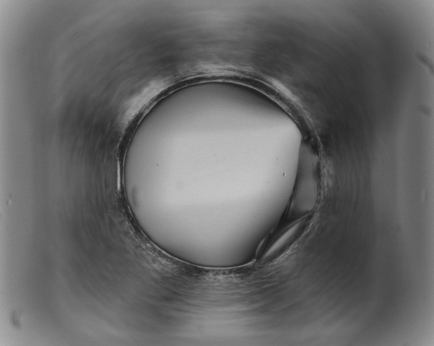 X0000099451269200805231733