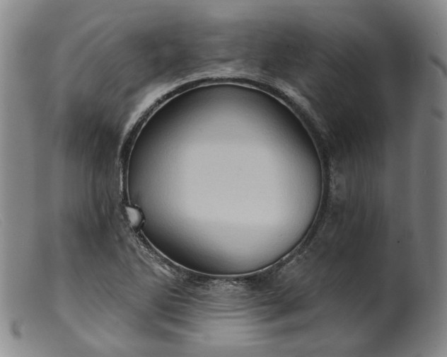 X0000099451270200805231733